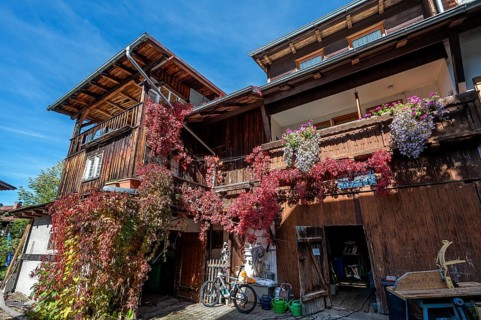 Wooden house with floral decoration and vegetation of widem vine