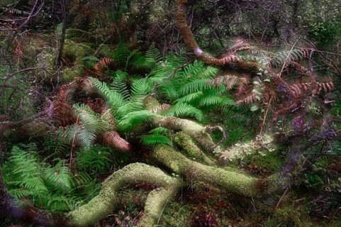Double exposure