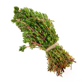 Fresh thyme bunch isolated on white