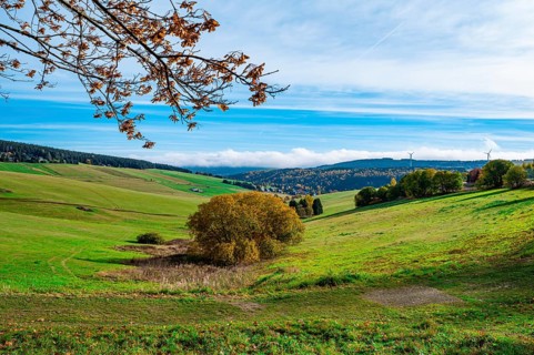 A meadow at the foot of the Fichtelberg with a view into the valley in autumn