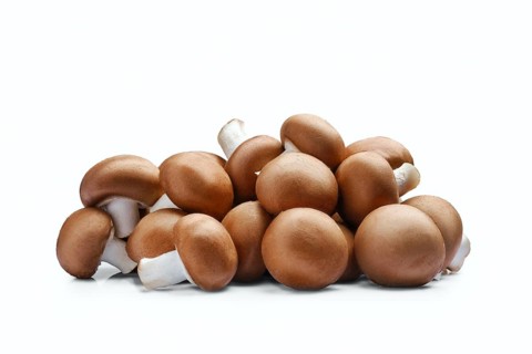 Fresh brown champignon isolated on white background