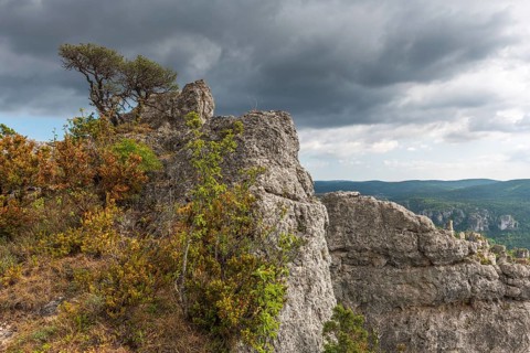 The city of stones