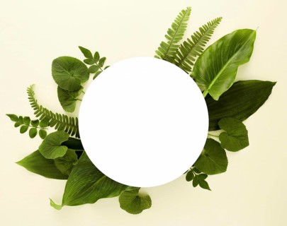 Flat lay assortment leaves with copy space