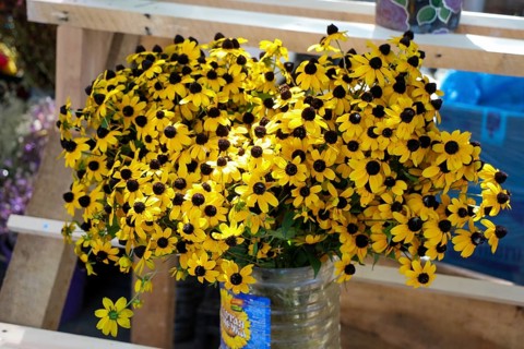Beautiful bouquet of flowers on street flower vendor