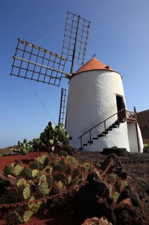 Gofio mill