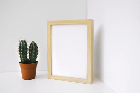 Frame cactus corner