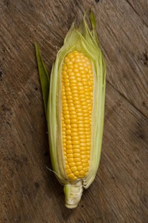 Top view corn with wooden background. Resolution and high quality beautiful photo