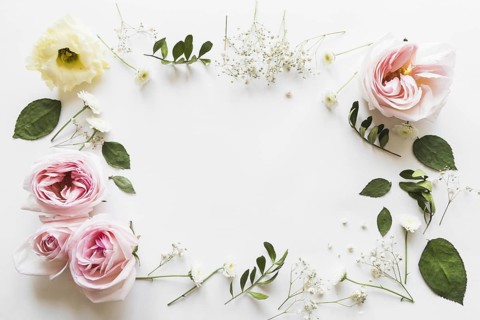 Top view flowers leaves. Resolution and high quality beautiful photo