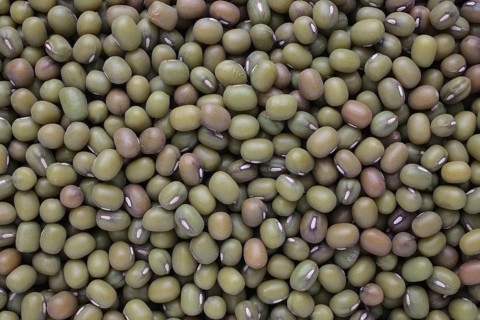 Mung bean