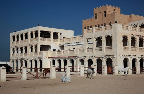 Arabian horse breeding stables in Al Jasra