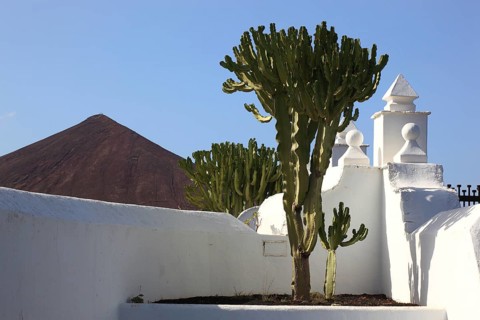 Fundacion Cesar Manrique