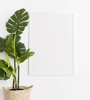 Decorative plant with empty frame