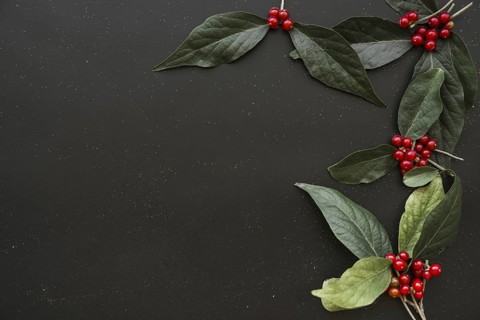 Green leaflets with berries