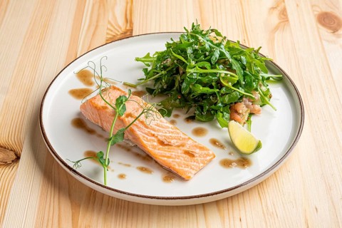 Steamed salmon with arugula and shrimps garnish
