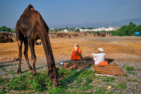 Pushkar
