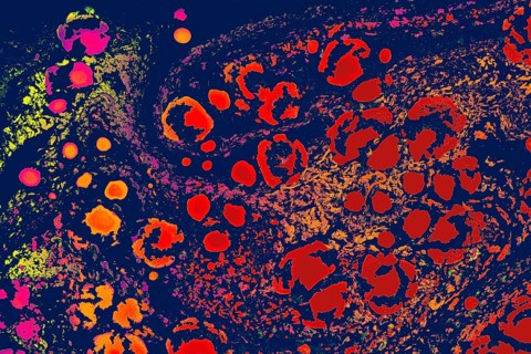 Ebru marbling handmade art
