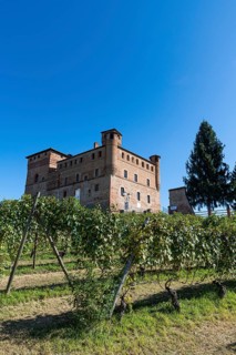 Castle of Grinzane Cavour