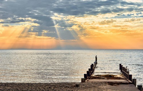 Groynes in the morning light