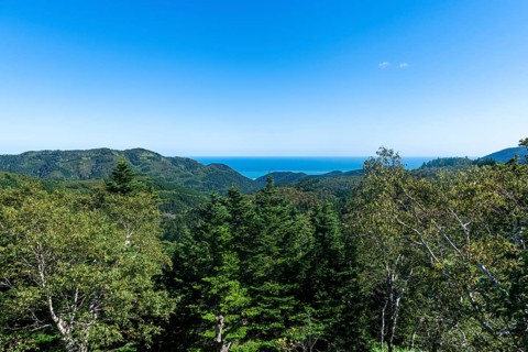 Overlook over the forested south coast of Sakhalin