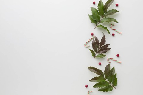 Flat lay mistletoe with candy cane