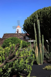 Gofio mill