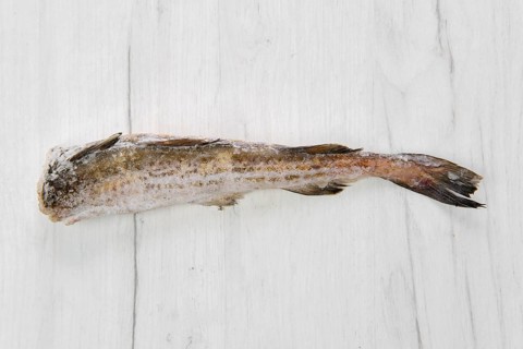 Frozen raw pollock carcass on wooden table