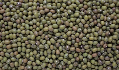 Mung bean