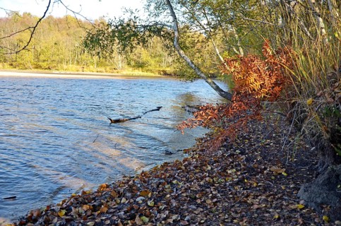 Nature reserve