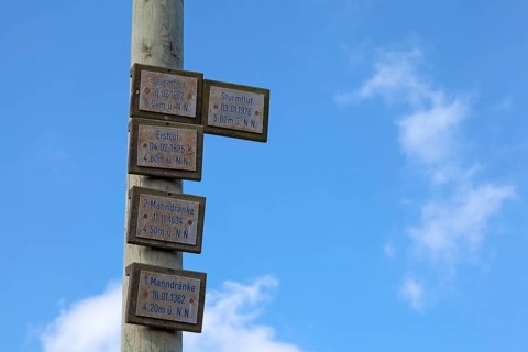 Flood pole