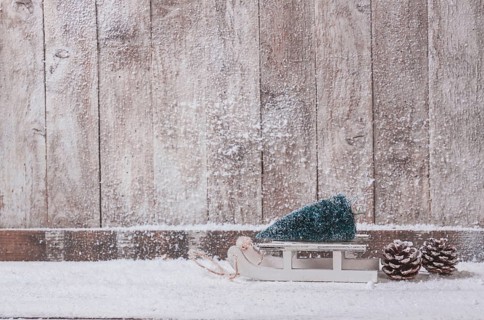 Wooden wall with small sleigh with christmas tree. Resolution and high quality beautiful photo