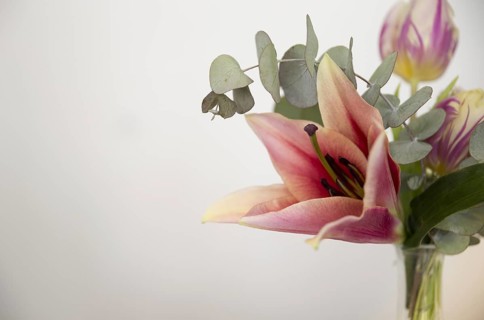 Close up vase with lily eucalyptus