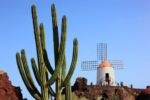 Gofio mill