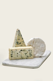 Various types of blue mold cheese