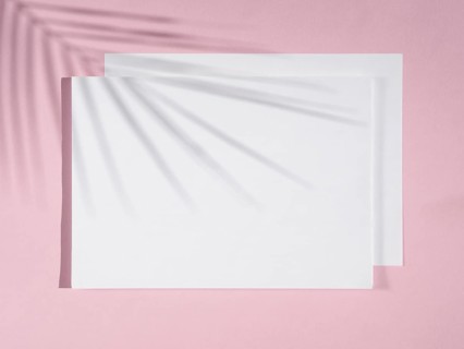 Rose background with white blankets ficus shadow