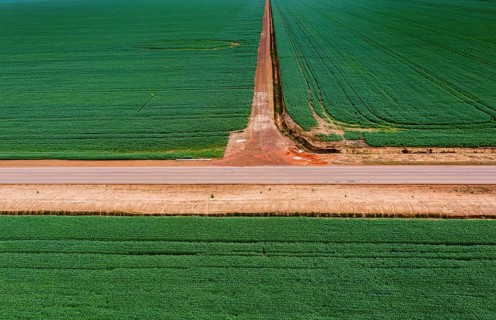 Giant soy fields
