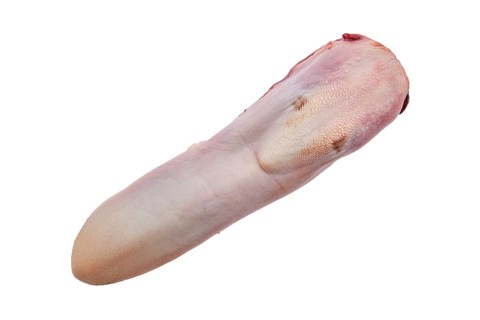 Raw fresh beef tongue isolated on white background