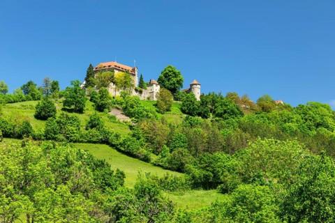 Stetten Castle