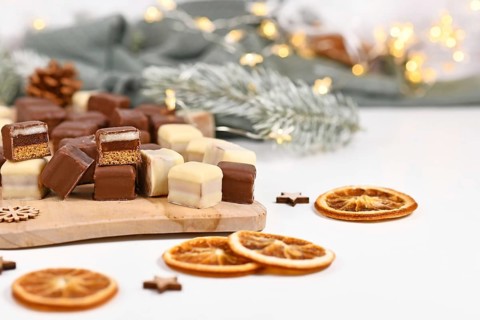 German sweets called 'Dominosteine'. Christmas candy consisting of gingerbread