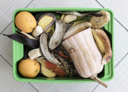 Top view recycling bin with organic vegetables. Resolution and high quality beautiful photo