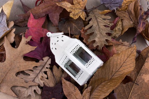Little bird house made of metal on Autumn leaves
