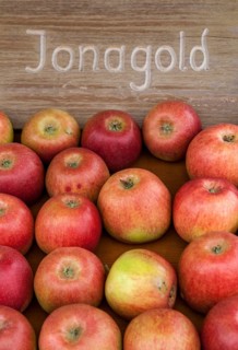 Apples
