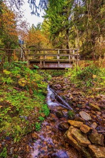 Long exposure of a small stream in the Schoenjungferngrund in the Ore Mountains below the Fichtelberg