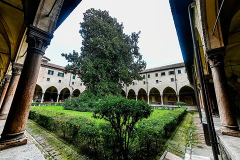 The Basilica of St. Anthony