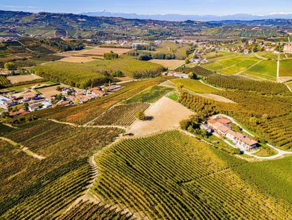 Aerials of the wineyards around Castle of Grinzane Cavour