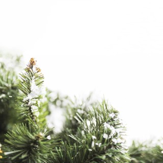 Fir tree with snowflakes branches