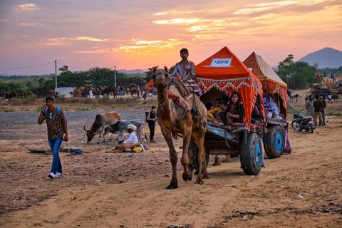 Pushkar