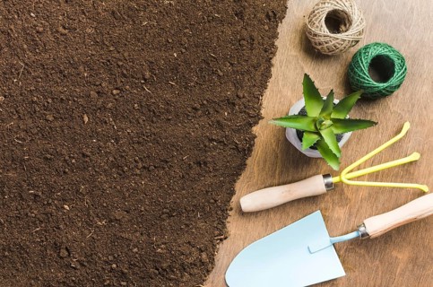 Top view gardening tools ground. Resolution and high quality beautiful photo