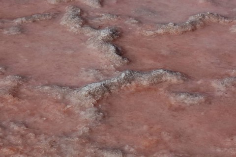 The Salinas de Janubio
