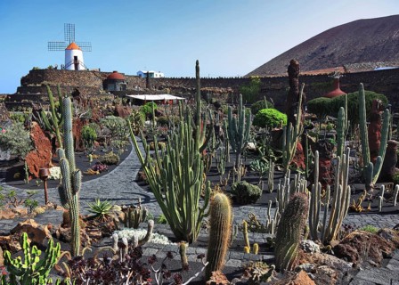 Cactus garden Jardin de Cactus near Guatiza