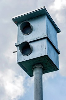Dummy speed camera as a deterrent